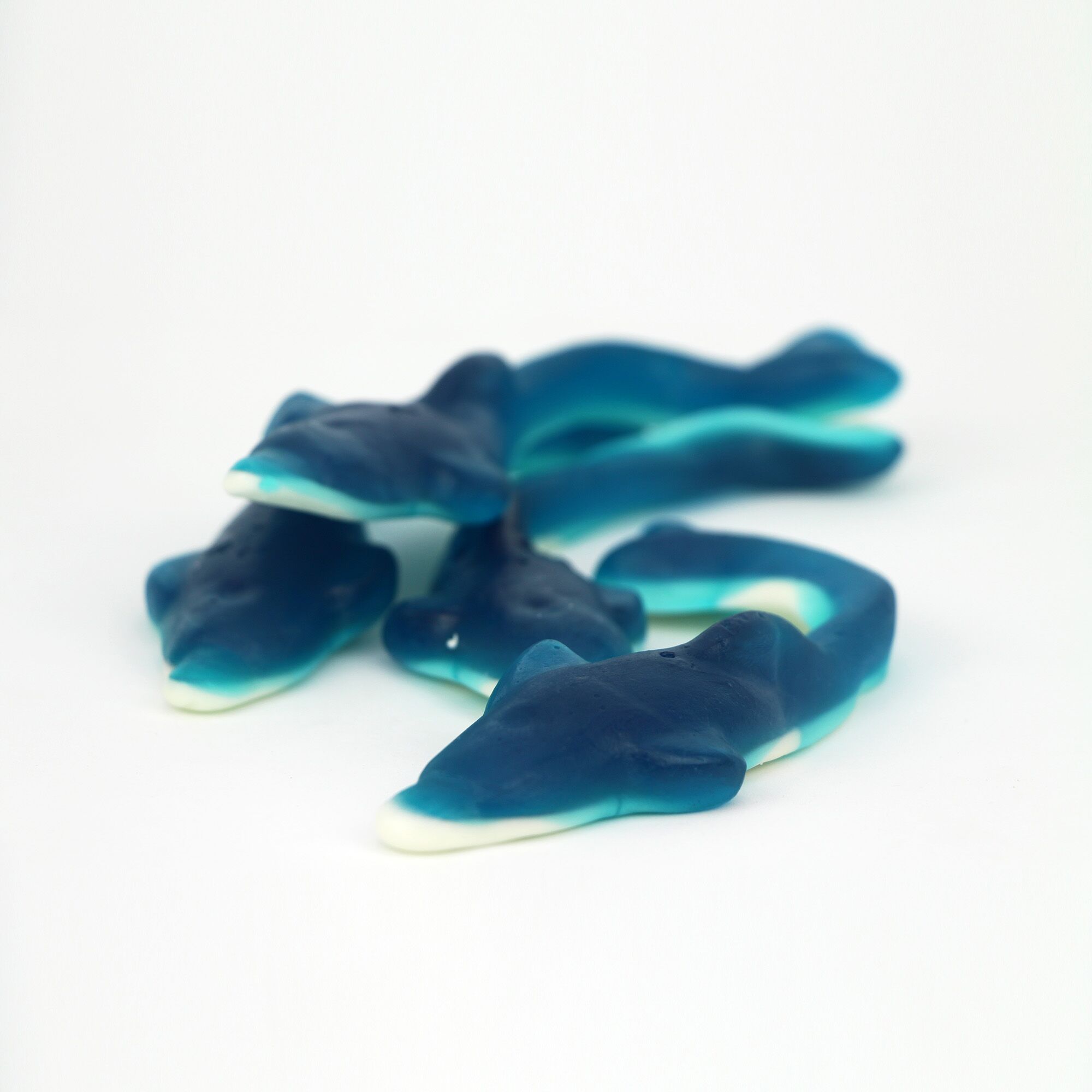 Dauphin Géant Dauphin Géant