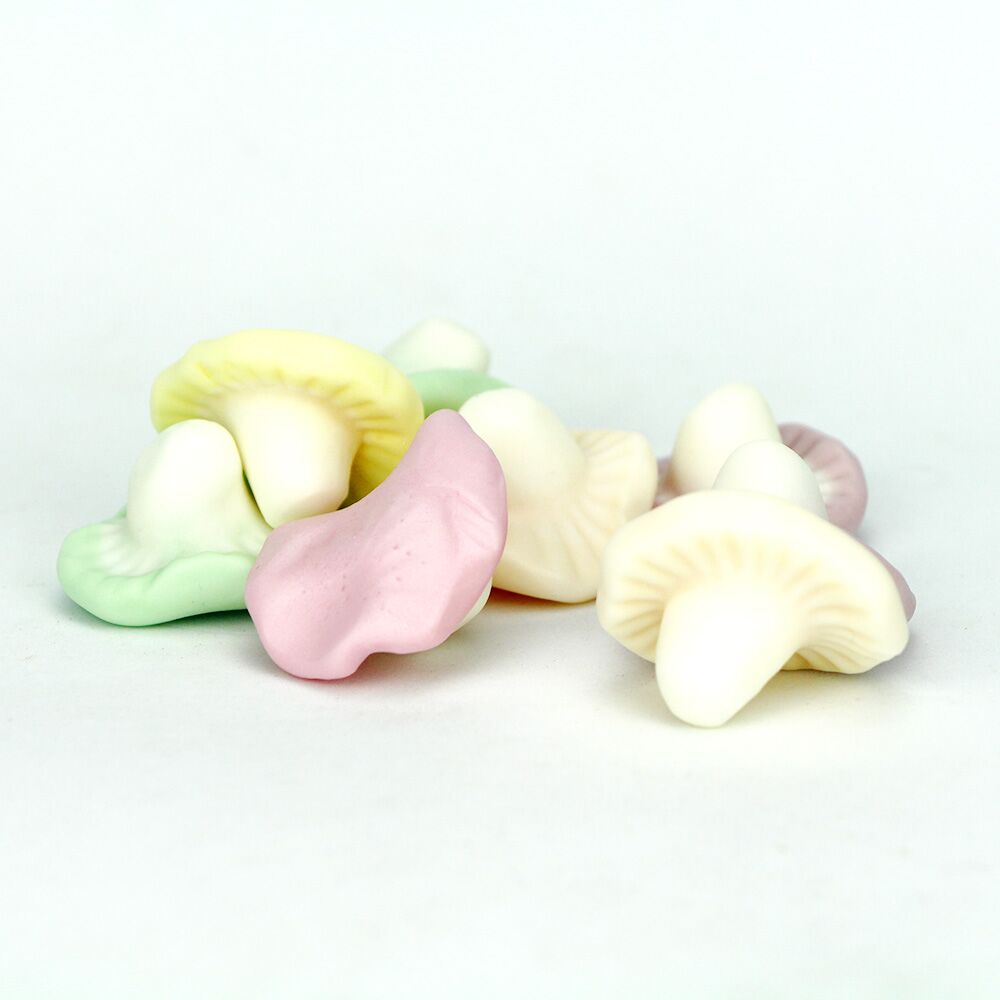 Champignons Fruits Champignons Fruits